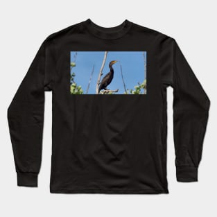 Double-crested Cormorant Perching On a Tree Branch Long Sleeve T-Shirt